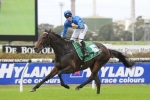 The Offer Leads Sydney Cup Field 2014