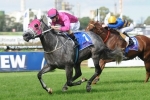 Catkins Leads Dane Ripper Stakes 2014 Odds