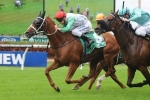 2014 Doomben Cup Form Guide & Betting Preview