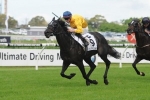 Silent Achiever Confirmed for 2014 Queen Elizabeth Stakes Field