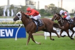 2013 Prime Minister’s Cup Nominations – Gold Coast Racing