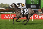 Parr’s Plum 2013 Chipping Norton Stakes Ride on Manighar