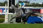 2015 Kingston Town Stakes Betting: Silverball Odds-On