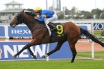 Pinstripe Lane likely to Target VRC Queen Elizabeth Stakes