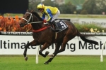 Magic Millions Stayers Cup 2015 Betting: Amovatio Narrow Favourite