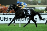 Waller Dominates 2014 Civic Stakes Nominations