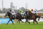 Thompson Back on Prince Of Capers for Hawkesbury Cup 2013