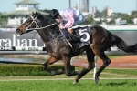 Quality Grafton Cup Nominations 2013 Announced
