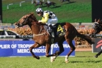 The Run To The Rose 2013 Tips & Selections