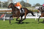 Winter Stakes Field 2013 – Mic Mac Surprise Acceptor