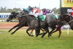 2014 Newcastle Cup Field & Odds