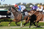 Bayrir Earns 2013 Caulfield Cup Talk after Solid Debut