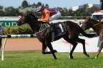 Windjammer a ‘Happy Horse’ Ahead of San Domenico 2013