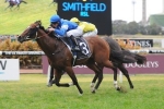 Nostradamus Claims Victory in 2014 San Domenico Stakes