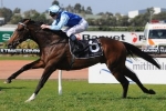 Costin Confident of Mile for Press Report in Flight Stakes 2014