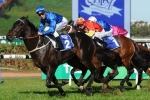 2015 Golden Rose Stakes Day Scratchings & Track Report