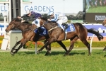 Coolmore Hopes Run in 2013 Heritage Stakes Field