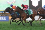 Lees Shoots for Ortensia Stakes 2013 Trifecta