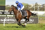 Astern Up to Coolmore Stud Stakes 2016 Challenge