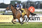 Tycoon Tara Heads 2016 Tristarc Stakes Nominations & Odds