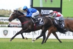 2015 Rosehill Guineas Sweynesse’s Best Chance to Beat Hallowed Crown
