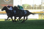 Savvy Nature Leads Early 2013 Victoria Derby Betting