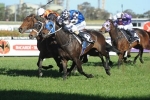 2013 Angst Stakes Field – Spring Champion Stakes Day