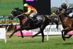 Sandown Cup 2015 Weight no Worries for Grand Marshal
