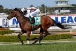 2013 Premiere Stakes Nominations Attract Spring Sprinters
