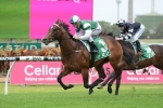 2015 Pago Pago Stakes Last Slipper Shot for Paceman