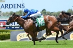 2015 Percy Sykes Stakes Field & Odds