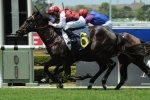 2014 Caulfield Classic Tips & Selections