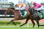 Australian Oaks Hopes Head Adrian Knox Stakes 2013 Field