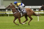2014 Carbine Club Stakes Nominations Released