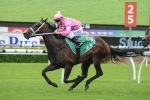 Champagne Cath Tops Magic Millions Fillies & Mares Handicap 2015 Odds