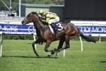 Solicit Strong Ahead of Coolmore Classic