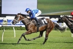 Winx Leads 2016 Queen Elizabeth Stakes First Acceptances