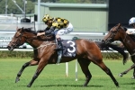 Group 1 Races Await Regal Roller Stakes Runner Griante