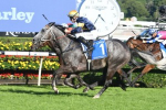 Don’t Forget Chautauqua in The Everest 2017 Betting