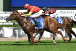 Invader Leads All Snitzel-Bred Inglis Sires’ Trifecta