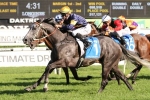 Chautauqua On Top Of 2017 T.J. Smith Stakes Field
