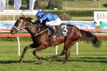 2016 Cox Plate Favourite Winx Ready to Trial
