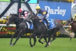 2015 All Aged Stakes Odds Update: Chautauqua Eases