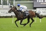 2016 All Aged Stakes Target for Kermadec