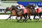 Thousand Guineas the Spring Target for Shoals