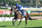 Winx Leads Strong Warwick Stakes Nominations