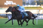 2015 Robert Sangster Stakes Nominations Feature Avoid Lighting