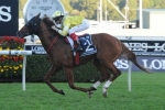 173 Included in 2015 Cox Plate Nominations