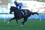 It’s A Dundeel – 2013 Memsie Stakes First-Up