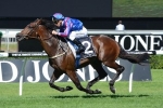 Toydini Wins 2013 Cameron Handicap On Route To Epsom